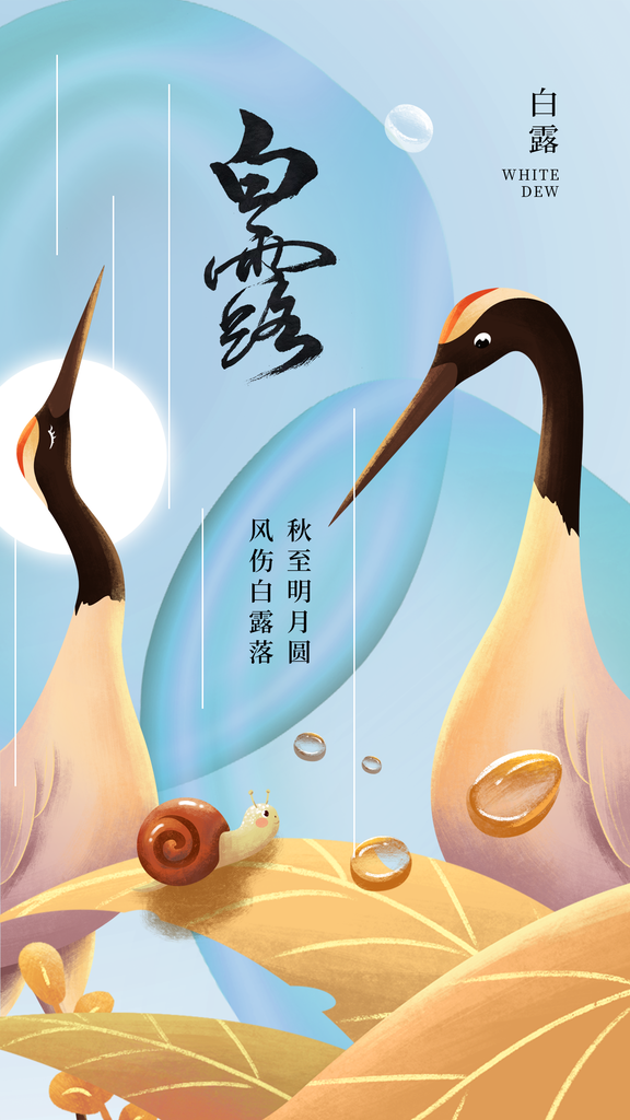白露节气简约日常活动海报