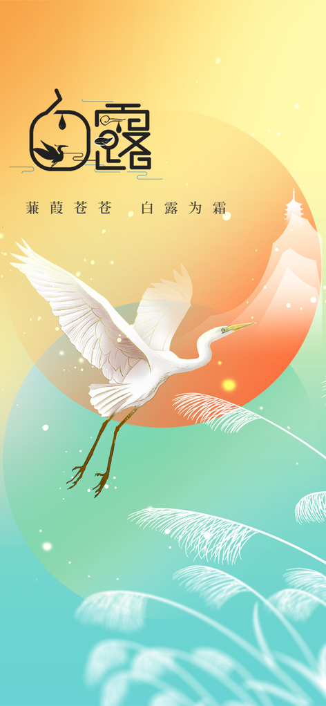 白露节气简约日常活动海报