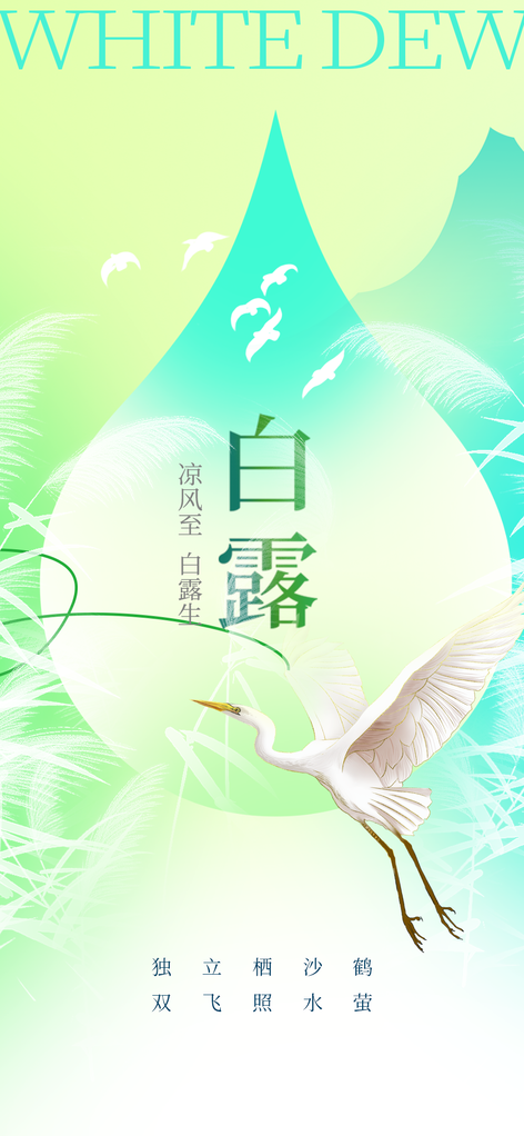 白露节气简约日常活动海报