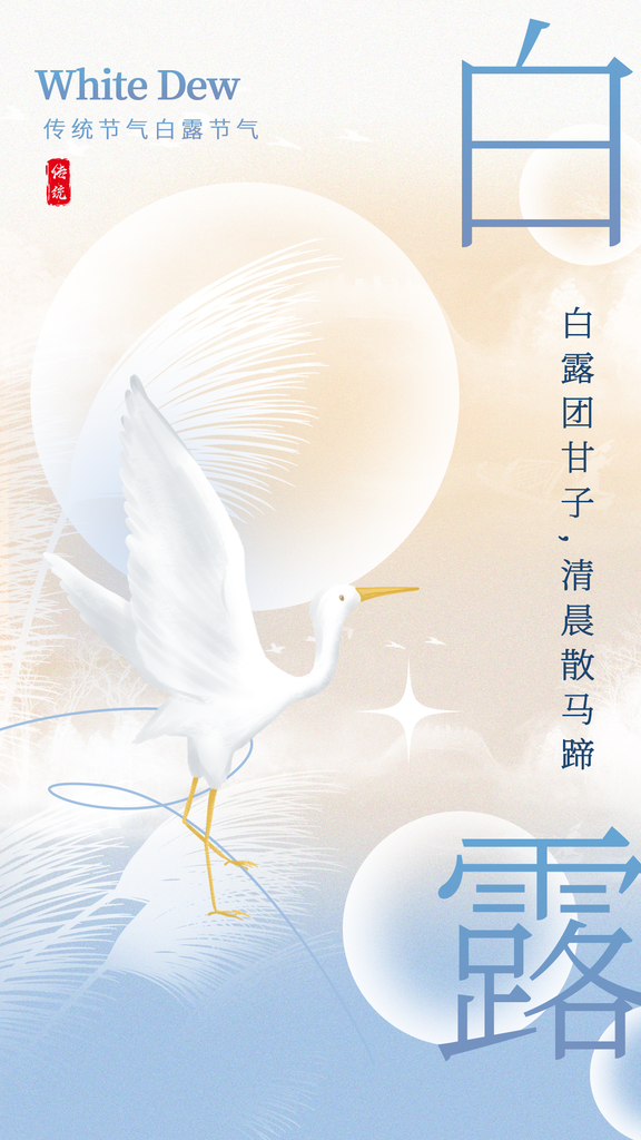 白露节气简约日常活动海报