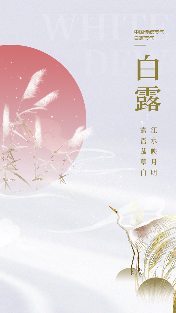 白露节气简约日常活动海报