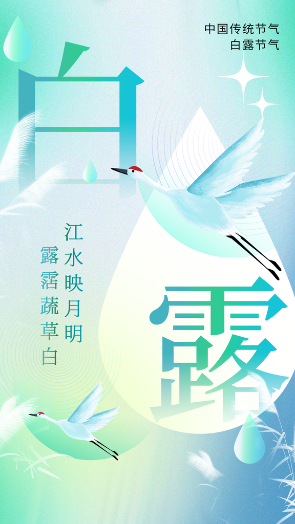 白露节气简约日常活动海报
