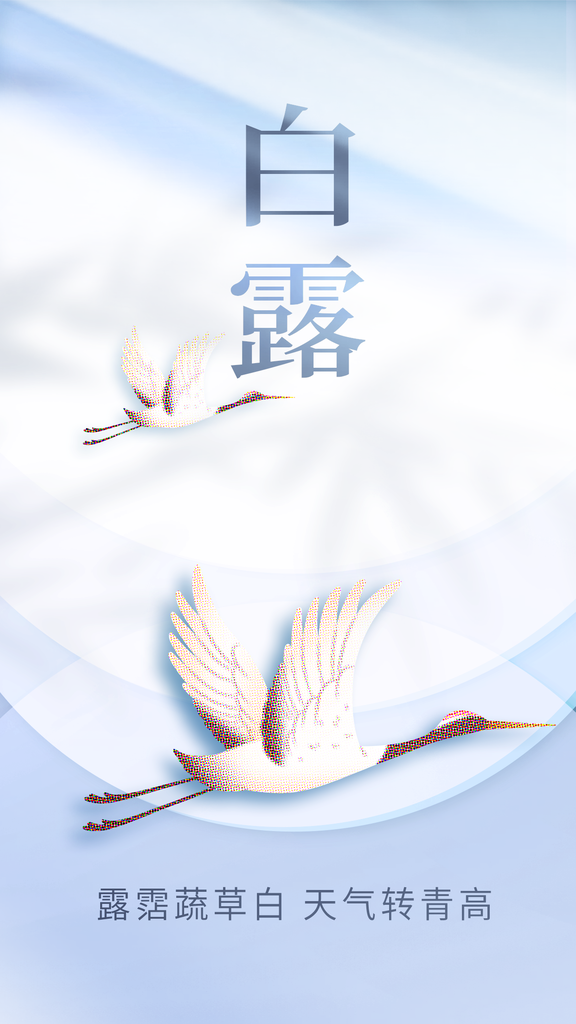 白露节气日常简约海报素材
