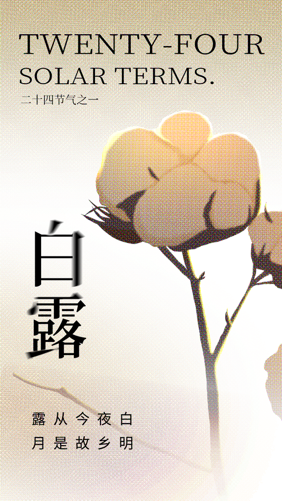 白露节气日常简约海报素材
