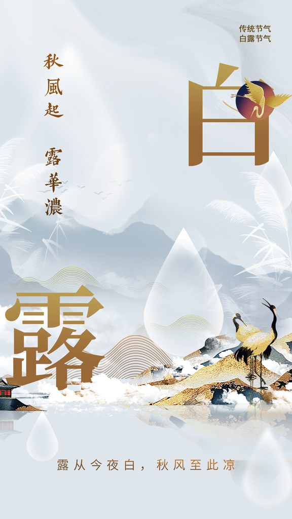 白露节气传统插画简约海报