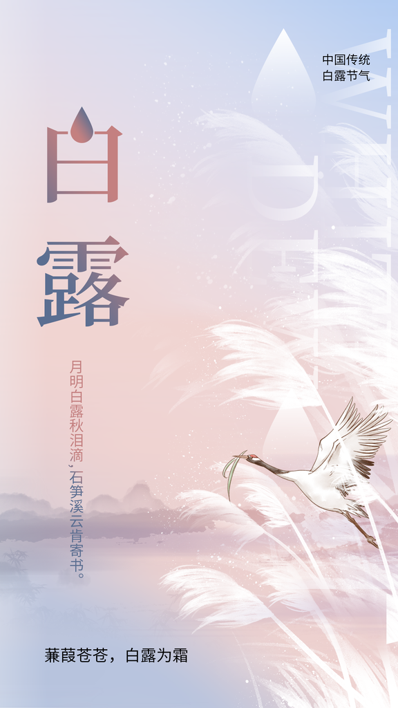 白露节气传统插画简约海报
