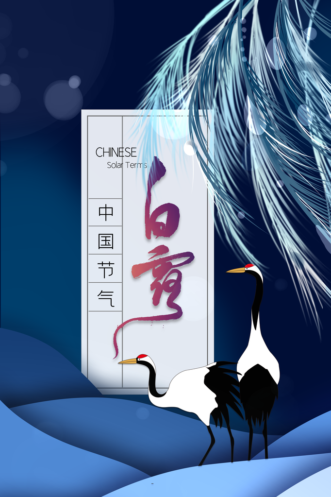白露国风节气节日海报