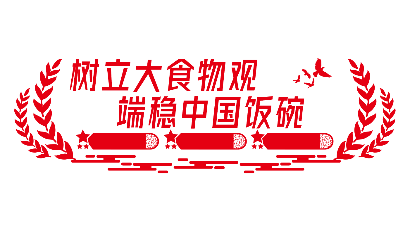 中国粮食粮食安全文化墙