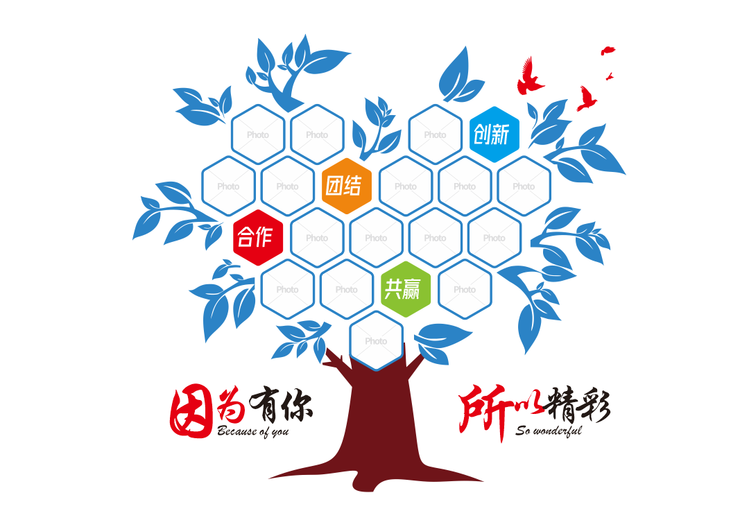企业文化照片墙员工团队风采墙智慧树文化墙