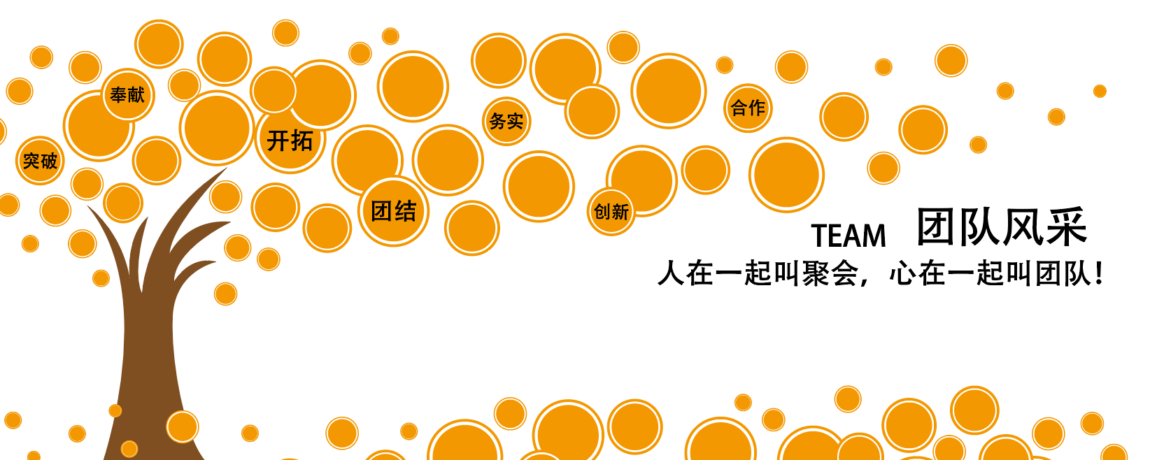 企业照片墙员工风采墙智慧树文化墙设计
