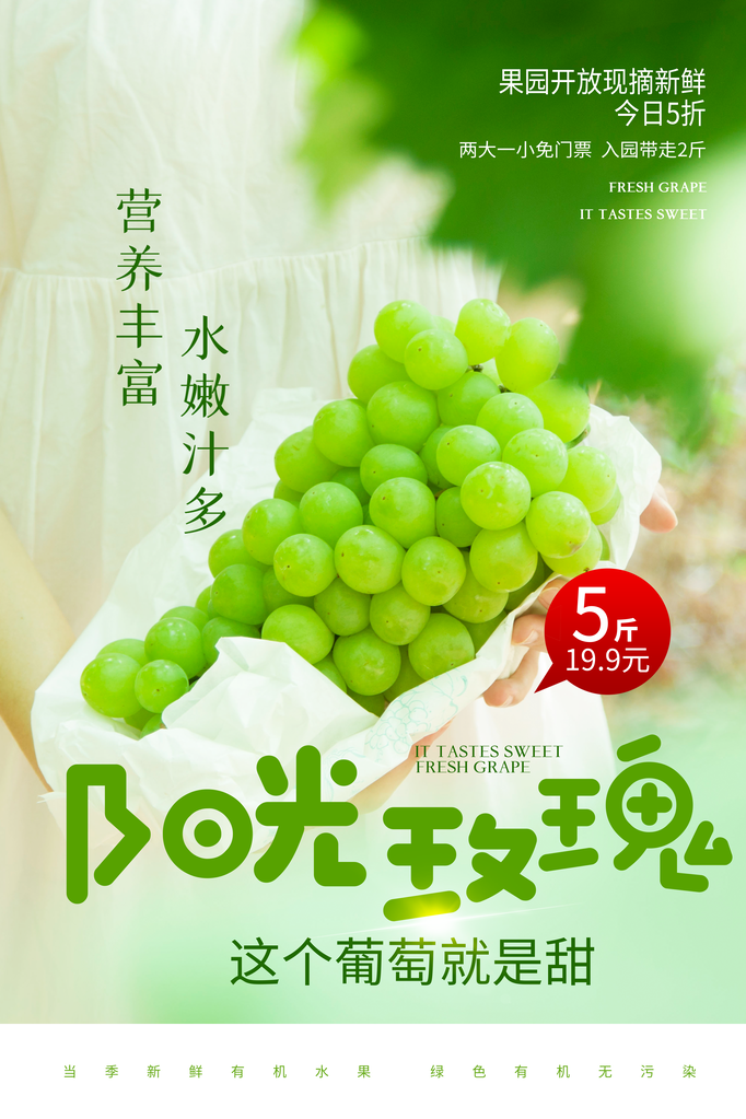 美味葡萄水果海报素材