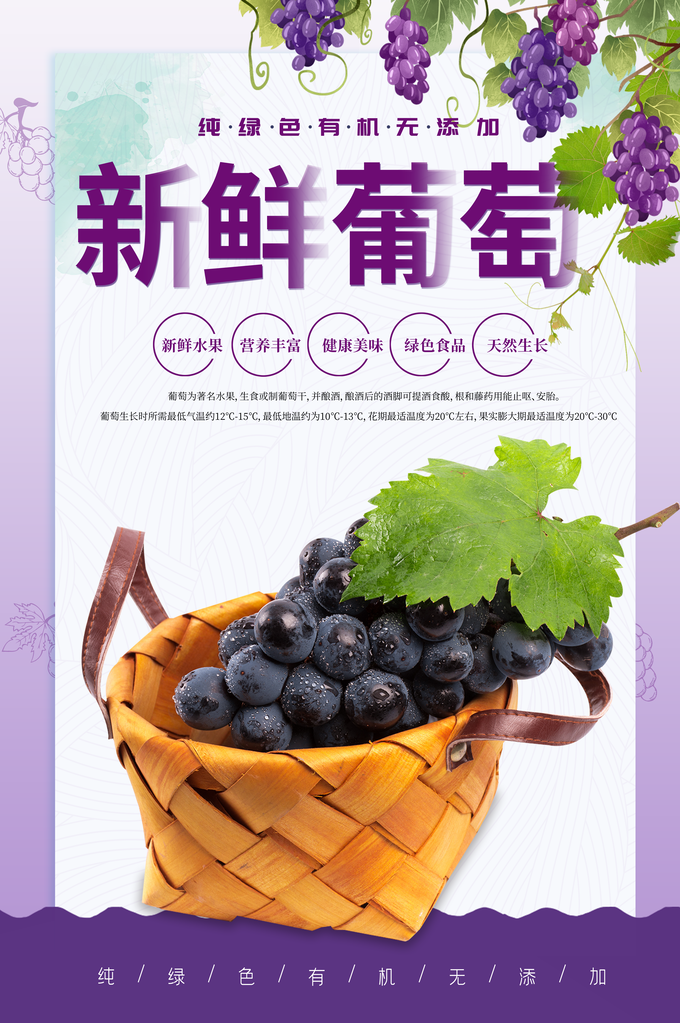美味葡萄水果海报素材