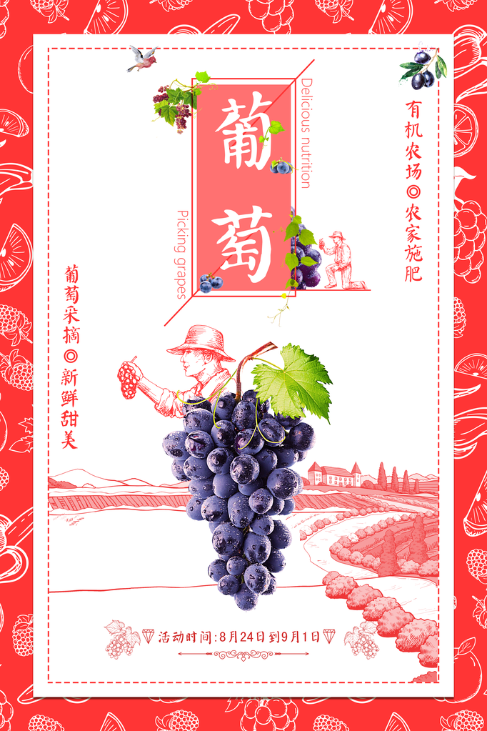 美味葡萄水果海报素材