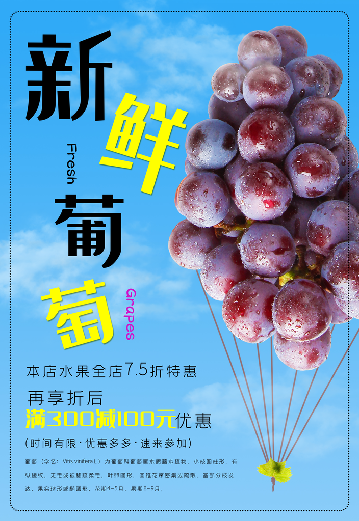 葡萄水果宣传海报设计素材