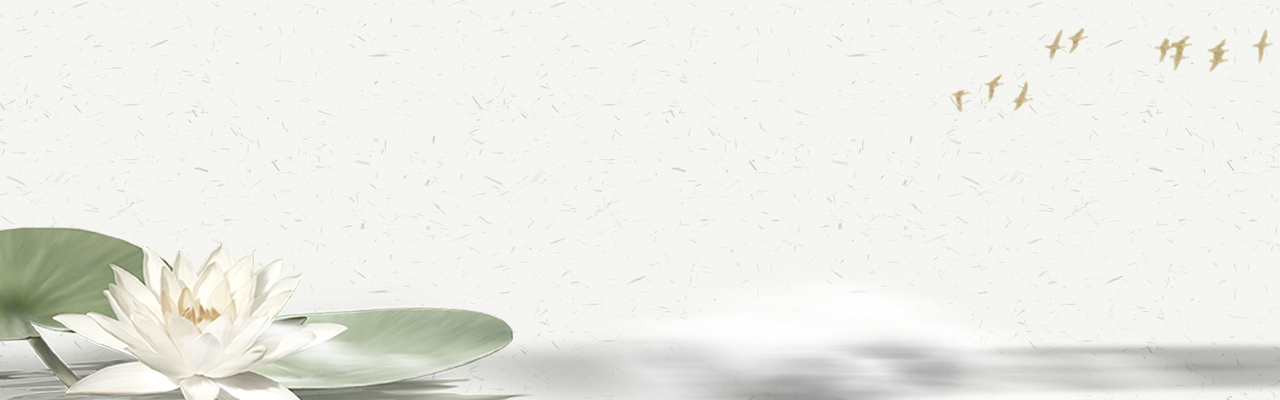 中国风水墨花卉荷花banner背景