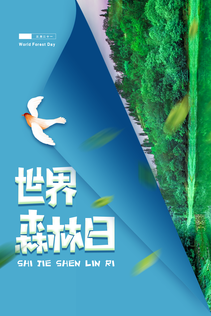 世界森林日环保海报设计素材模板