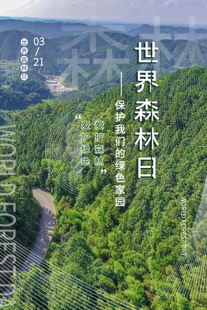 世界森林日环保海报设计素材模板