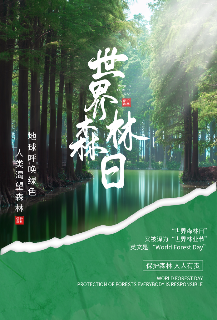 世界森林日环保海报设计素材模板