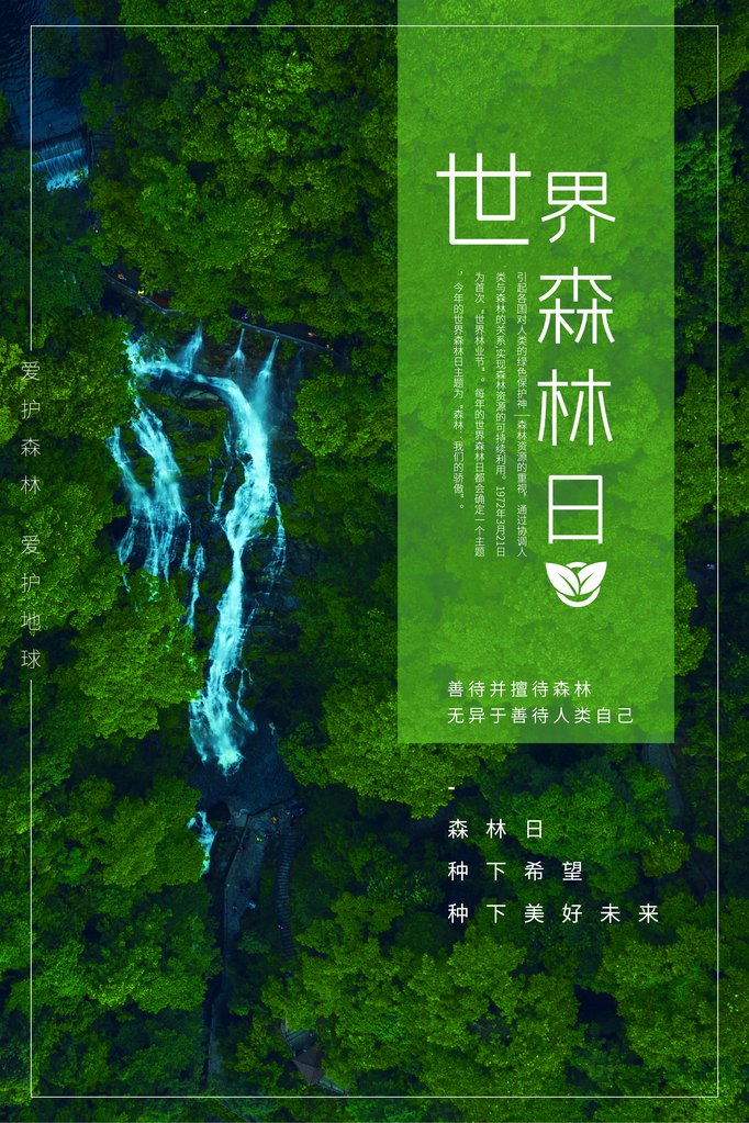 世界森林日环保海报设计素材模板