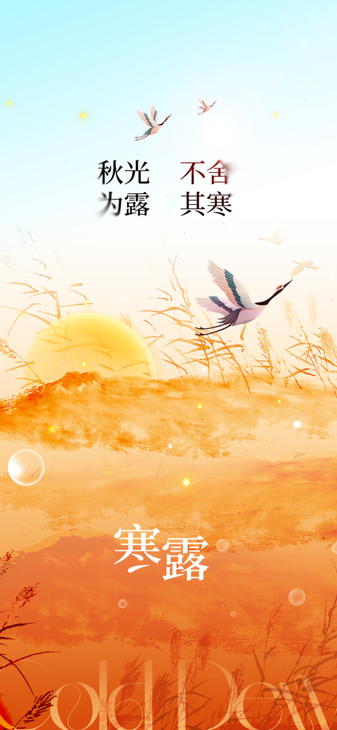 寒露节气传统海报