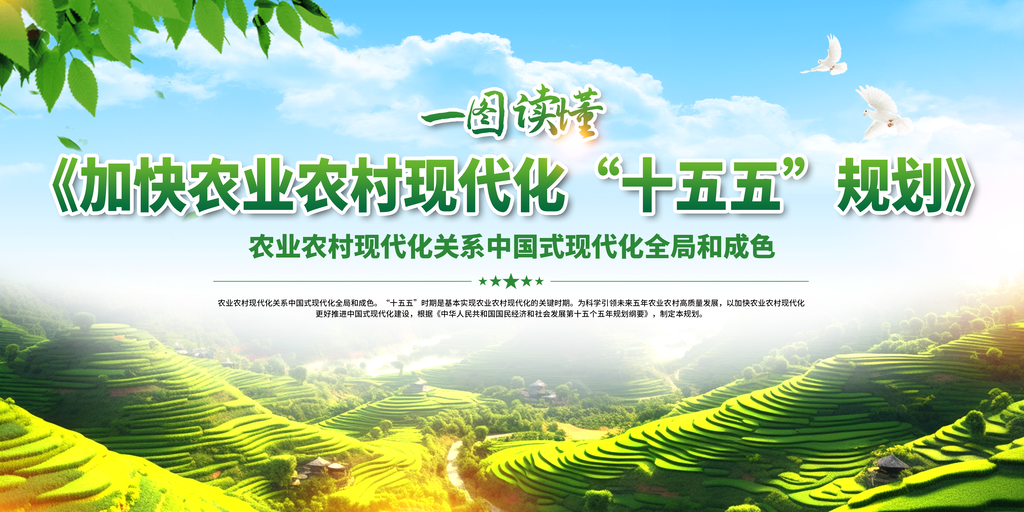 加快农业农村现代化十五五规划党建展板海报