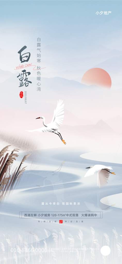 白露节气海报设计