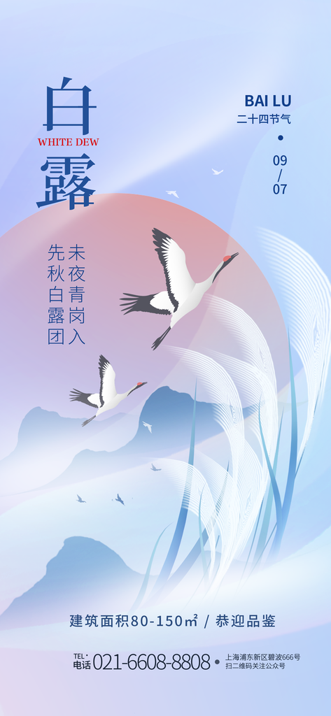 白露节气海报设计