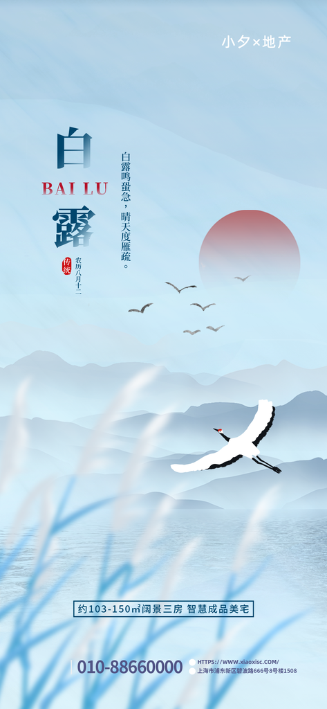 白露节气海报设计