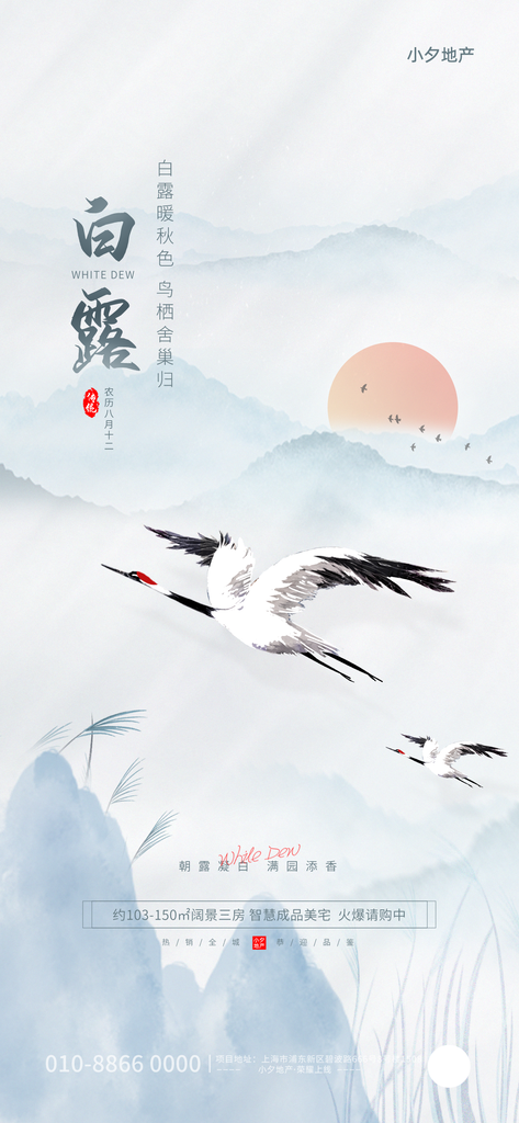 白露节气海报