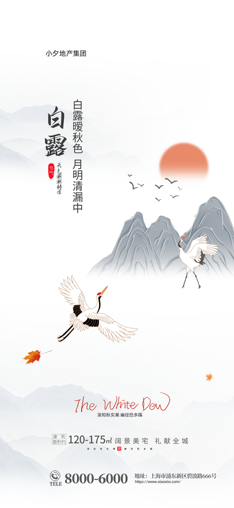 白露节气海报