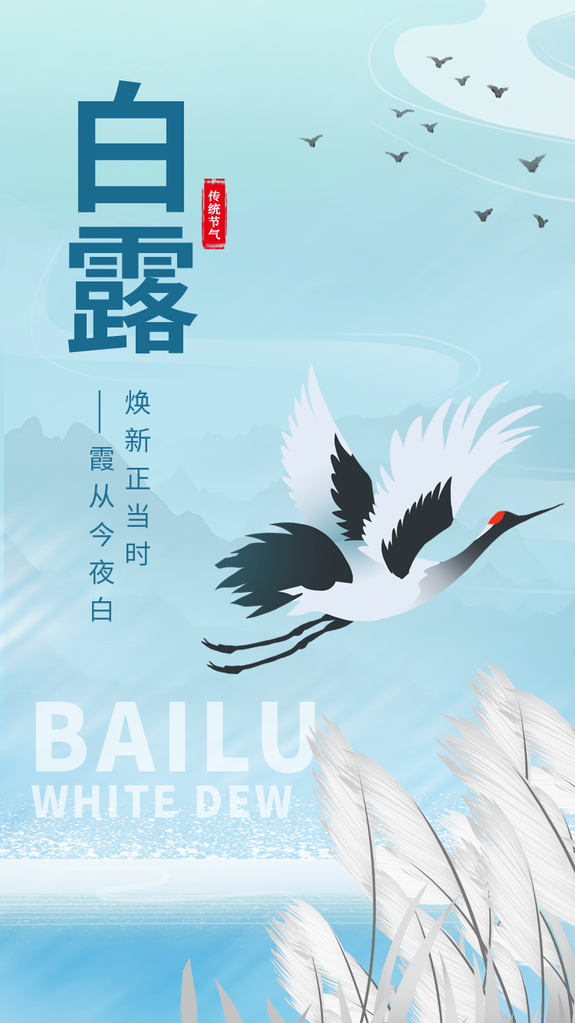 白露节气海报广告