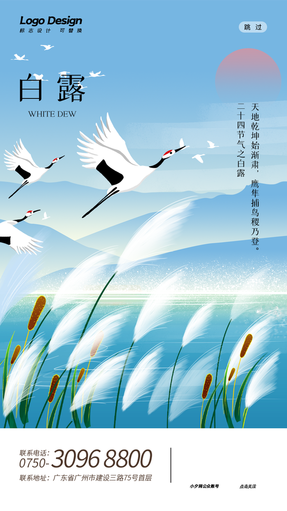 白露节气海报广告
