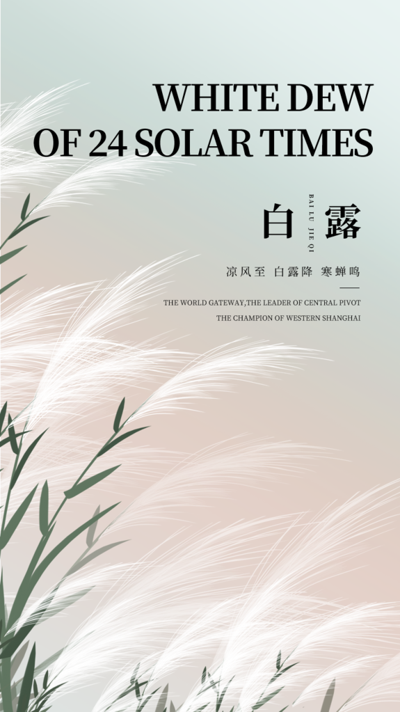 白露节气海报广告