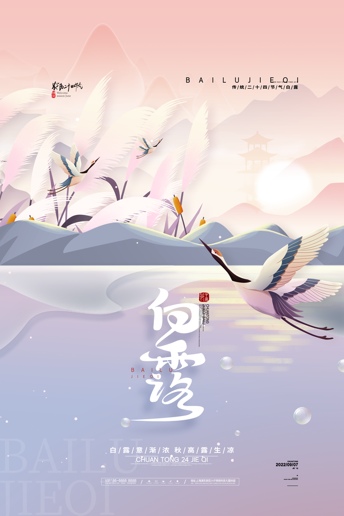 白露节气海报设计