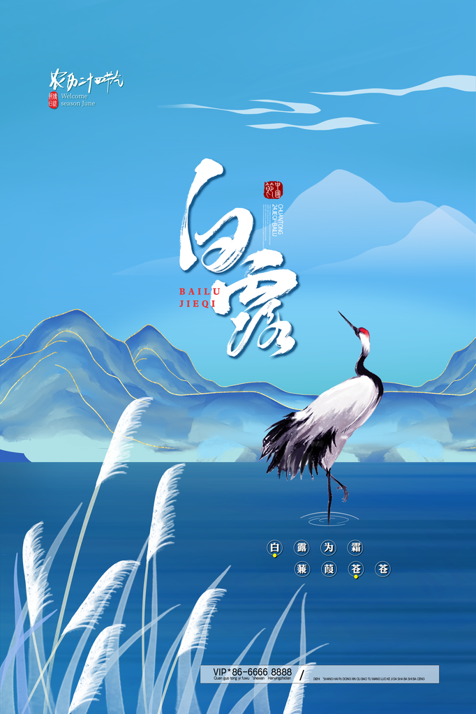 白露节气海报设计