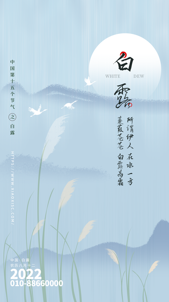 白露节气宣传海报