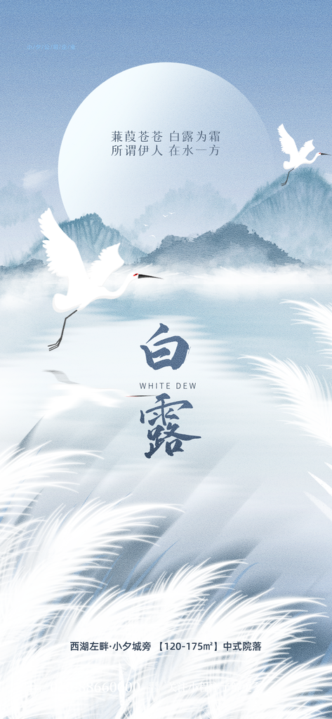 白露节气海报素材