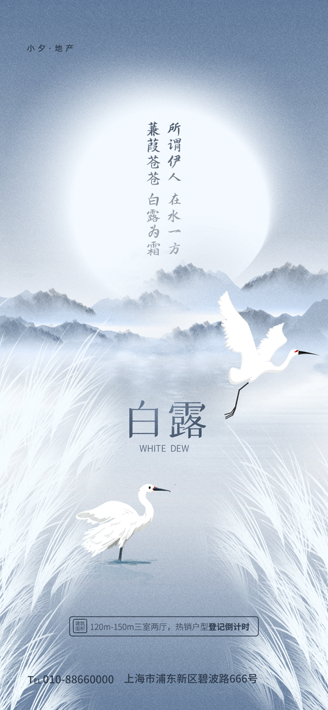 白露节气海报素材