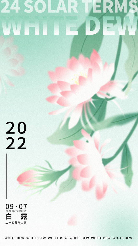 白露节气海报素材