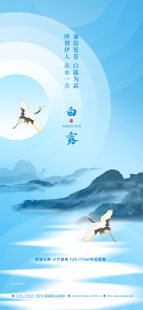 白露节气海报素材