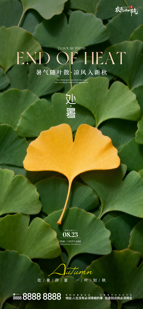 二十四节气处暑创意手机海报