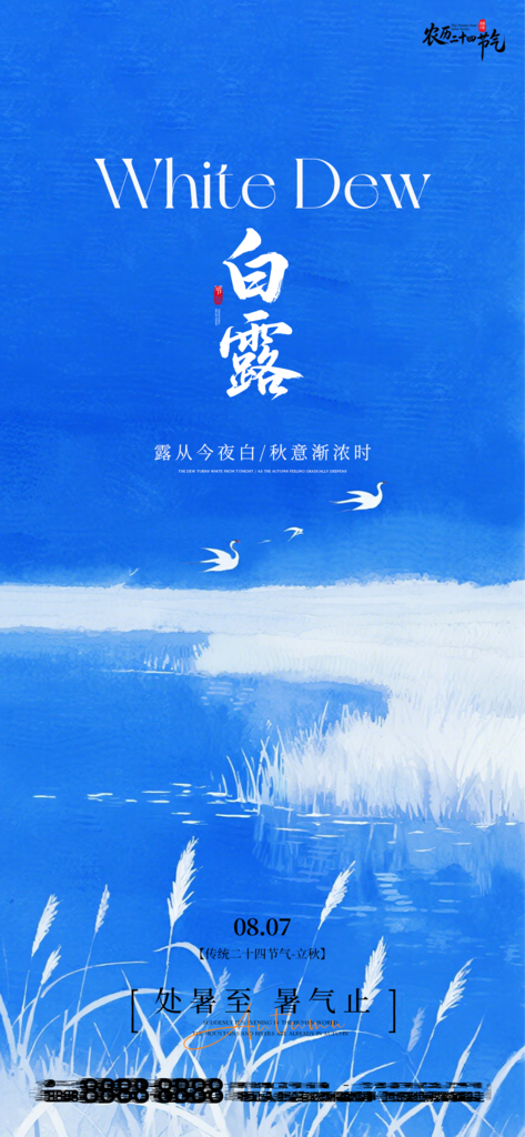 白露节气创意单图海报