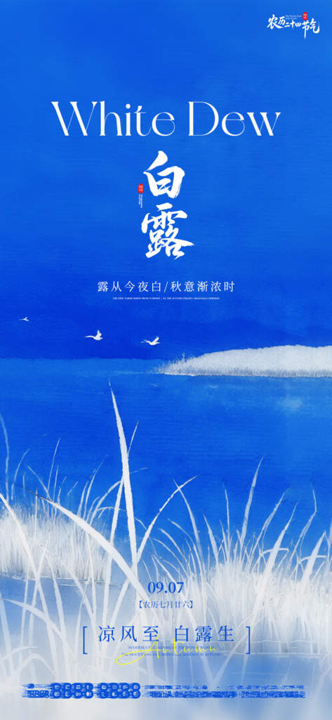 白露节气手机宣传海报