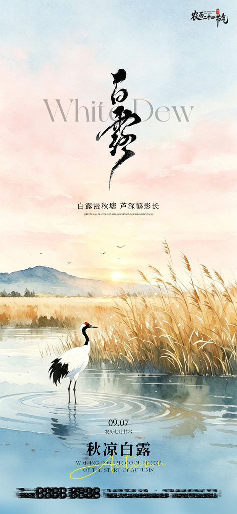 白露节气手机宣传海报