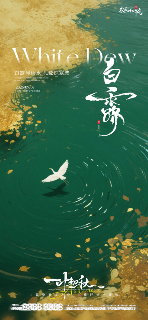 白露创意节气手机宣传海报