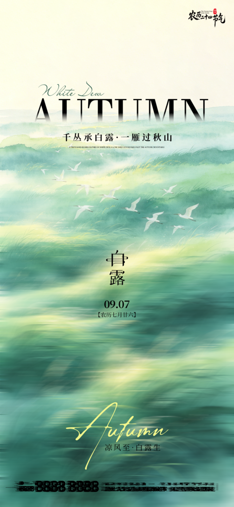 白露创意节气手机宣传海报