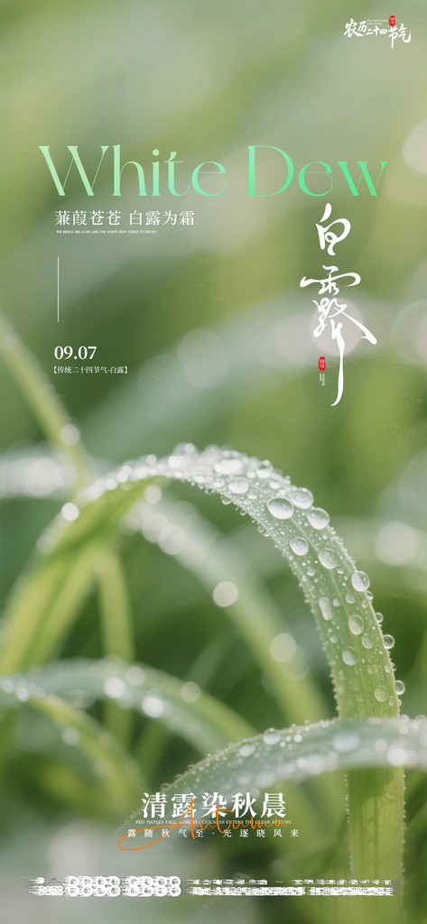 白露创意节气手机宣传海报