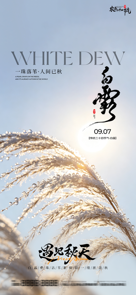 白露创意节气手机宣传海报
