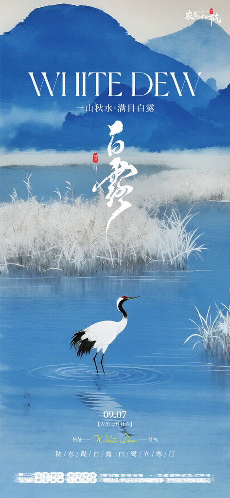 白露创意节气手机宣传海报