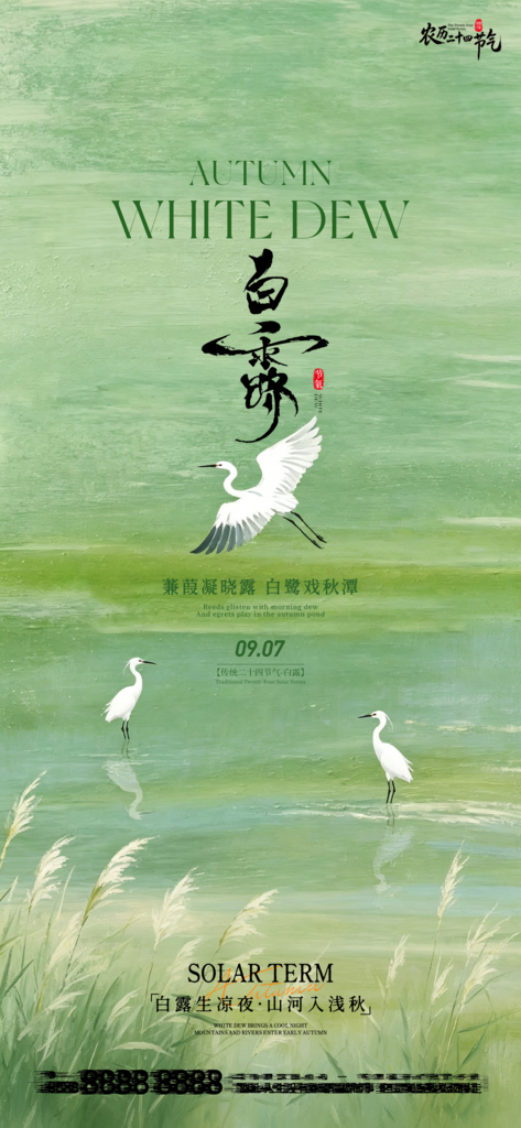白露创意节气手机宣传海报